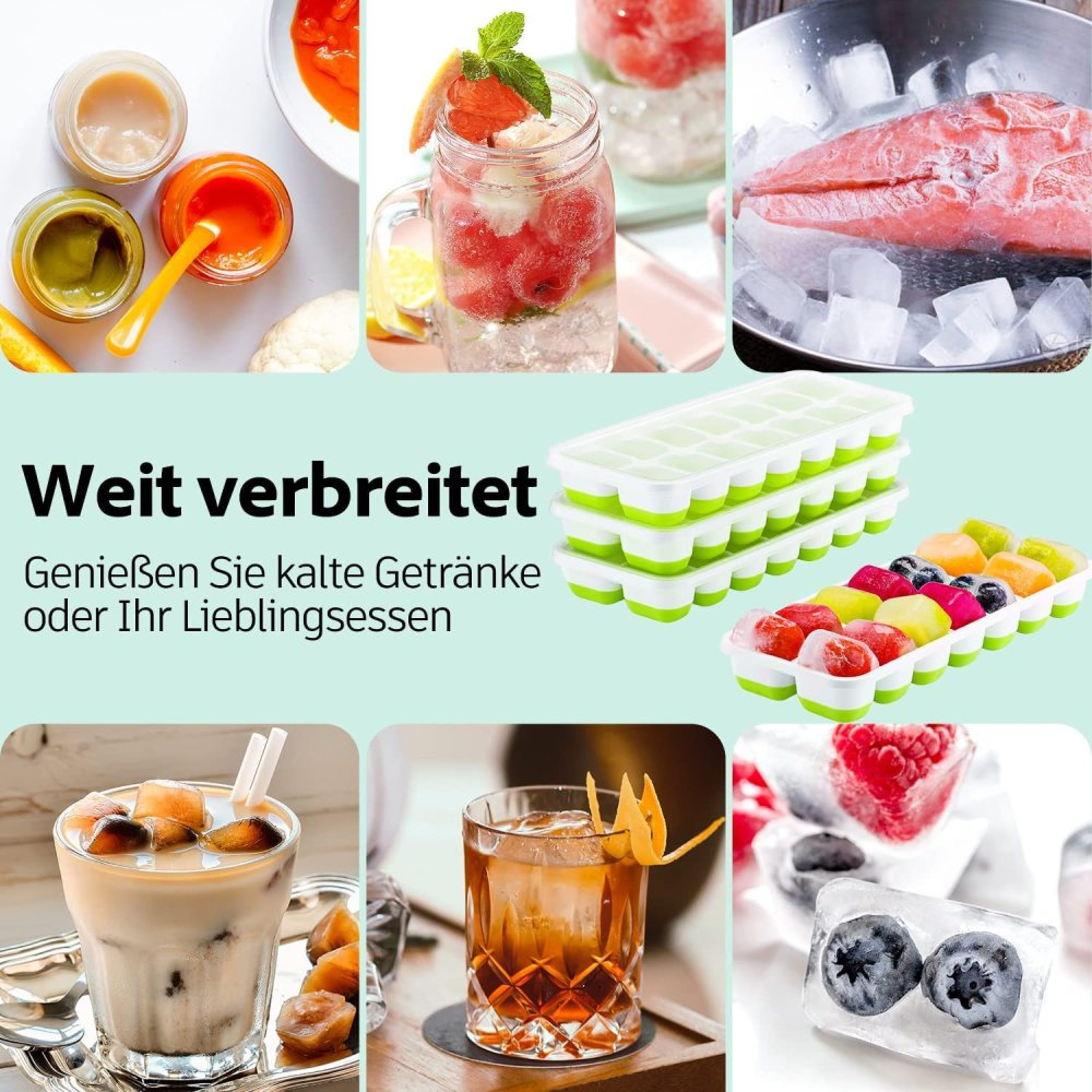 Babybrei, Wassermelonen-Getränk, Lachs auf Eis, Eiswürfelformen, Eisgetränk, Cocktail, Beeren in Eis.