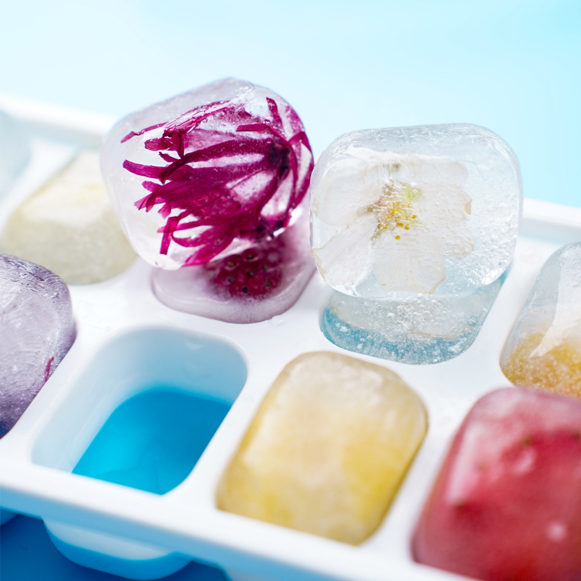 Eiswürfel mit Blumen und blauer Flüssigkeit in einer Form.