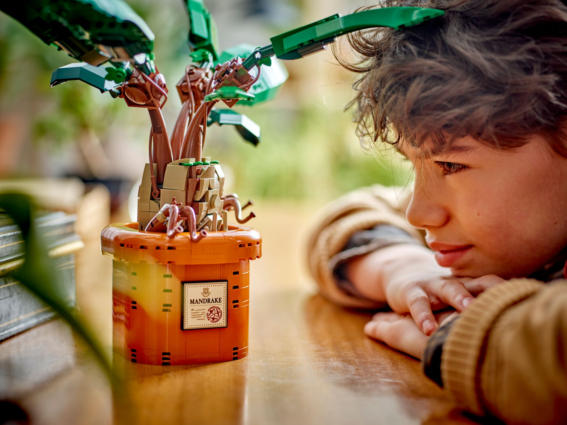 Ein Kind schaut auf einen Lego-Mandrake-Topf auf einem Holztisch.