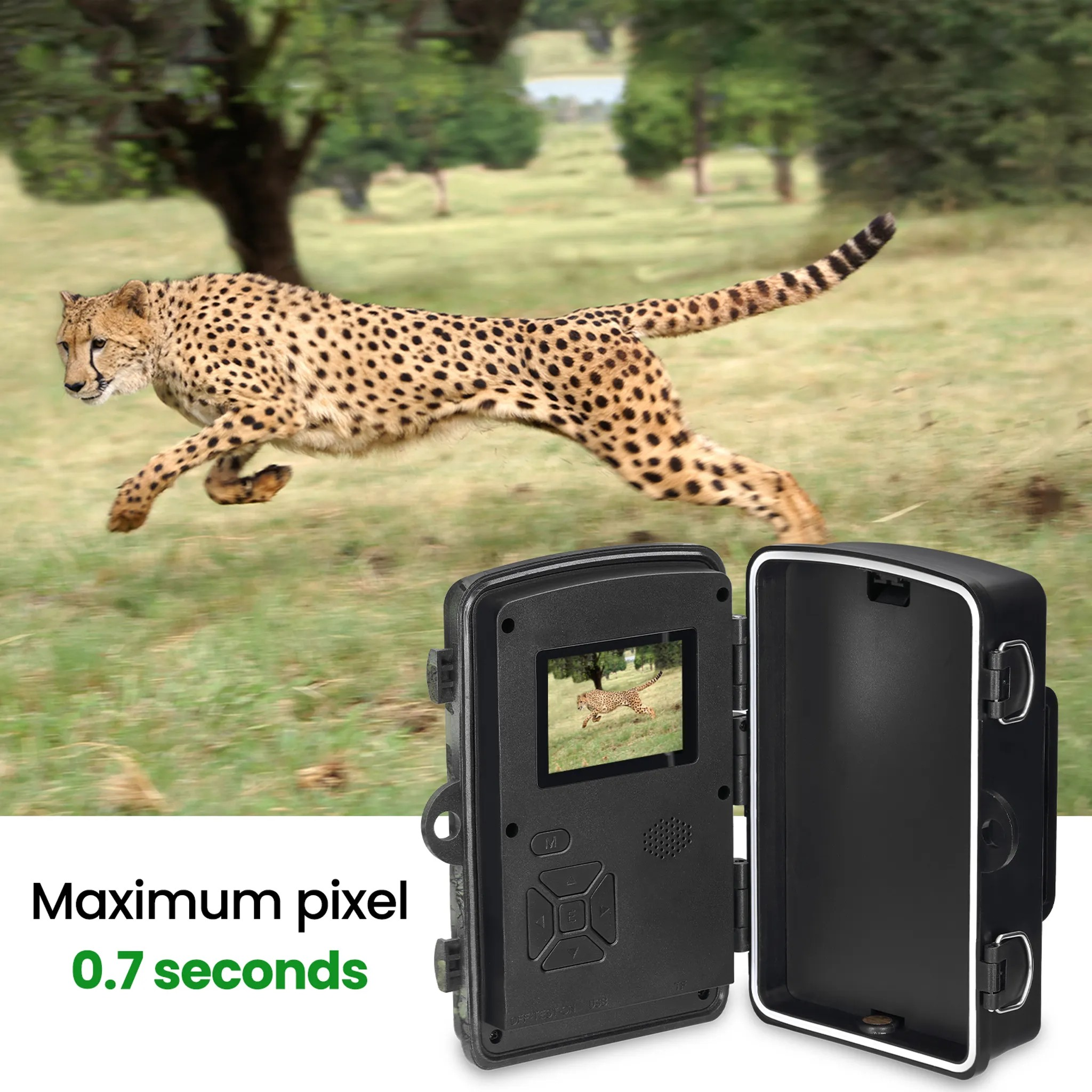 Ein Gepard rennt auf einer Wiese, eine Wildkamera ist im Vordergrund.