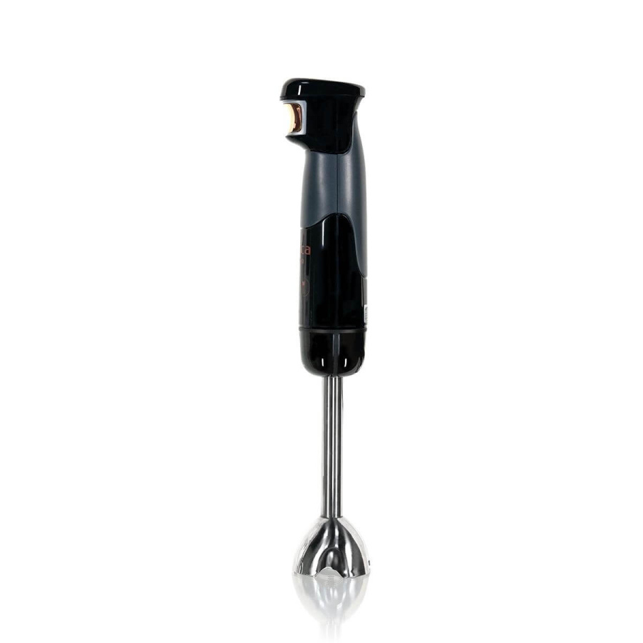 Gümüş metal tabanlı ve saplı siyah el blenderı.