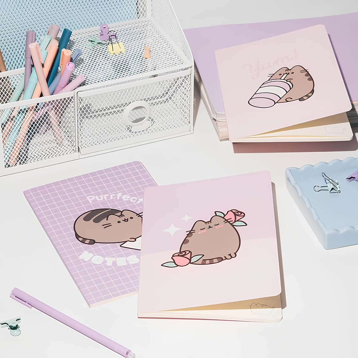 Schreibwaren auf einem weißen Schreibtisch: Notizbücher mit Pusheen-Katze, Stifte und ein weißer Organizer.