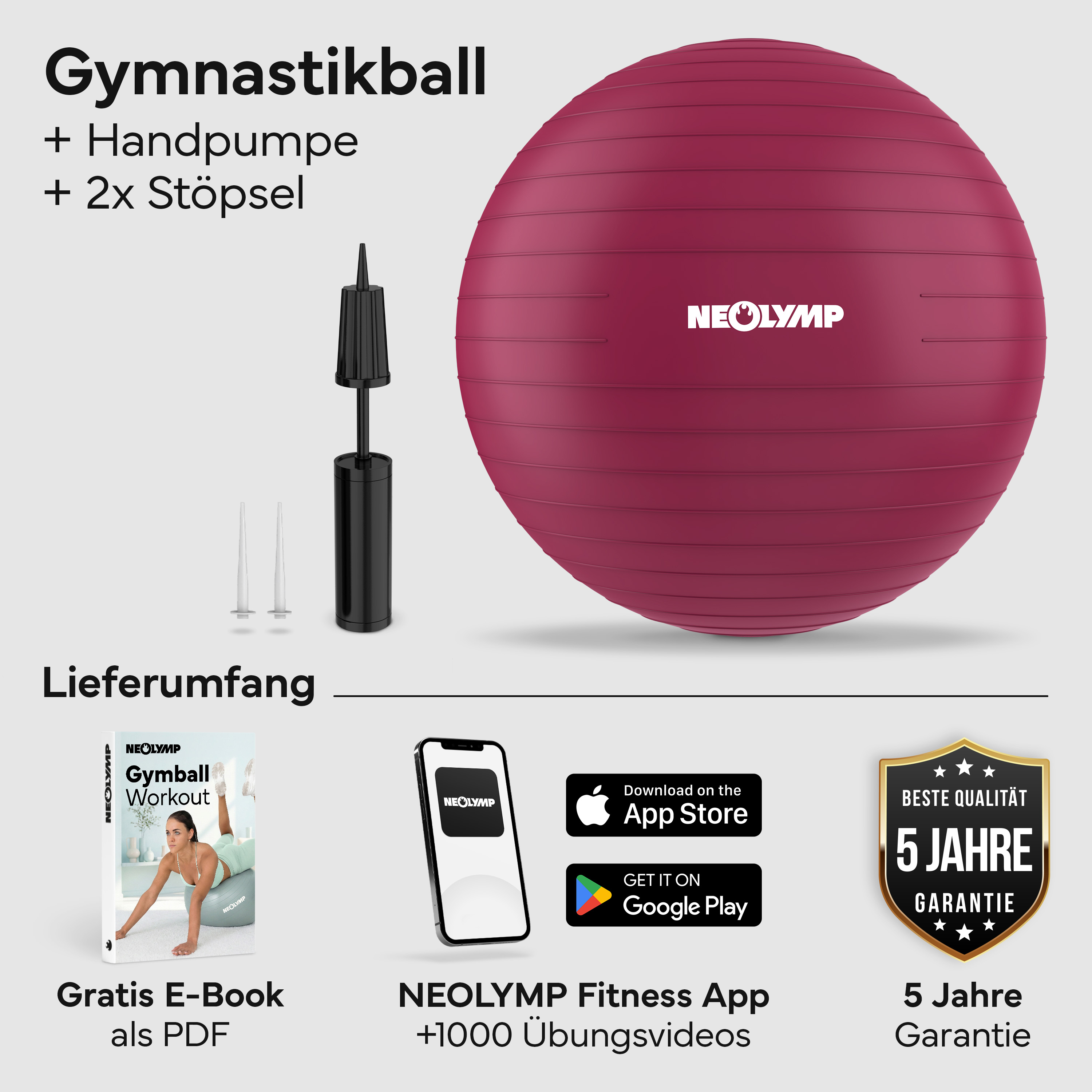 Ein burgunderroter Gymnastikball mit Pumpe, Stöpseln, E-Book, App und Garantie.