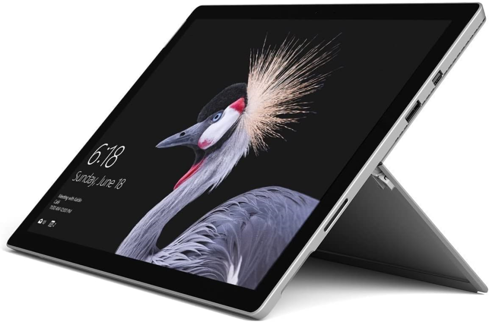 Ein Tablet zeigt einen Kranich mit einem auffälligen Federkranz.