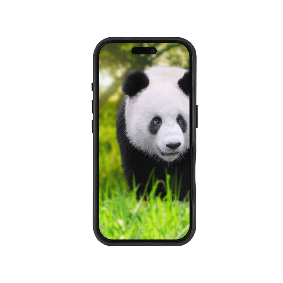 Un panda sullo schermo di un telefono guarda attraverso l'erba verde.