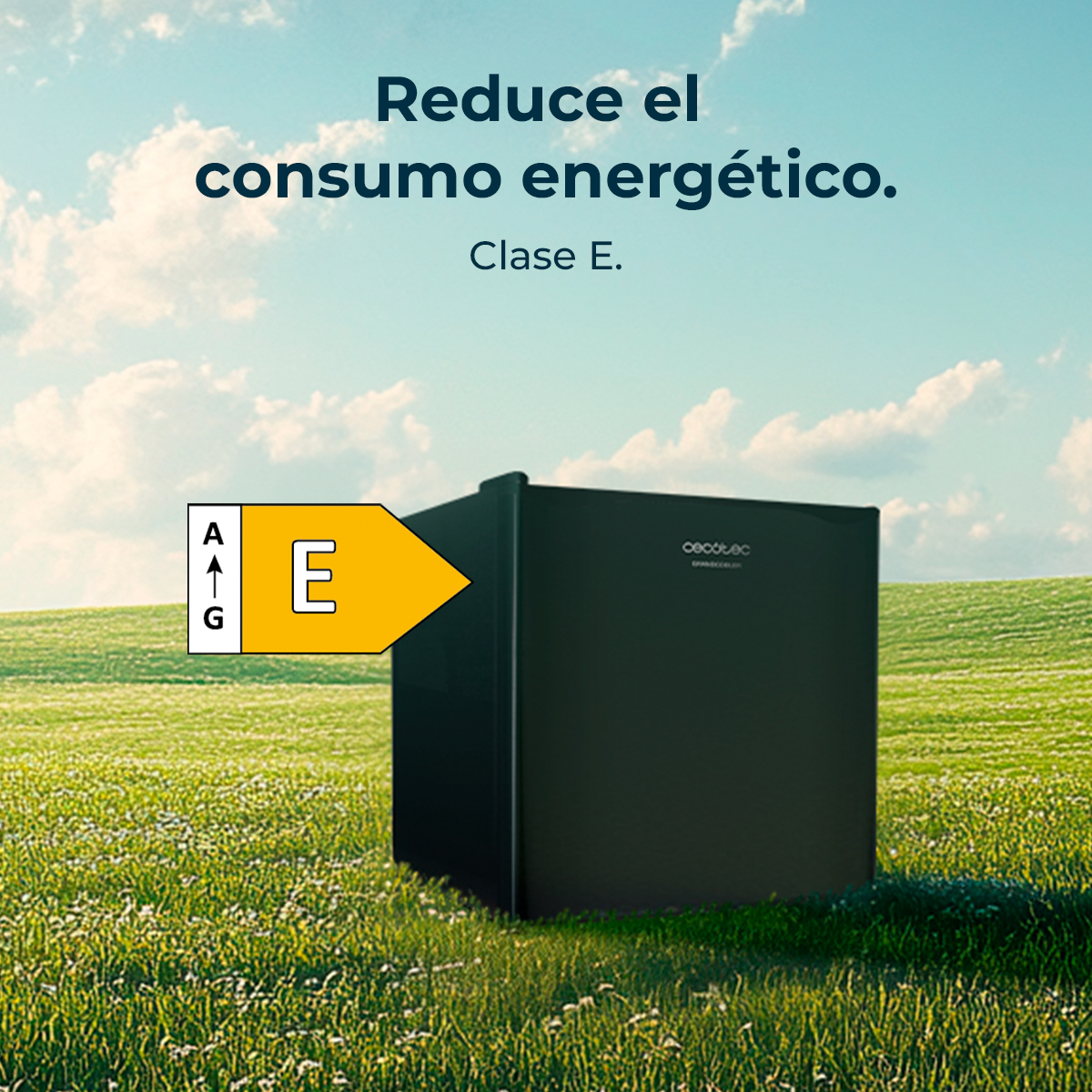 Piccolo frigorifero nero con etichetta energetica E in un prato verde.