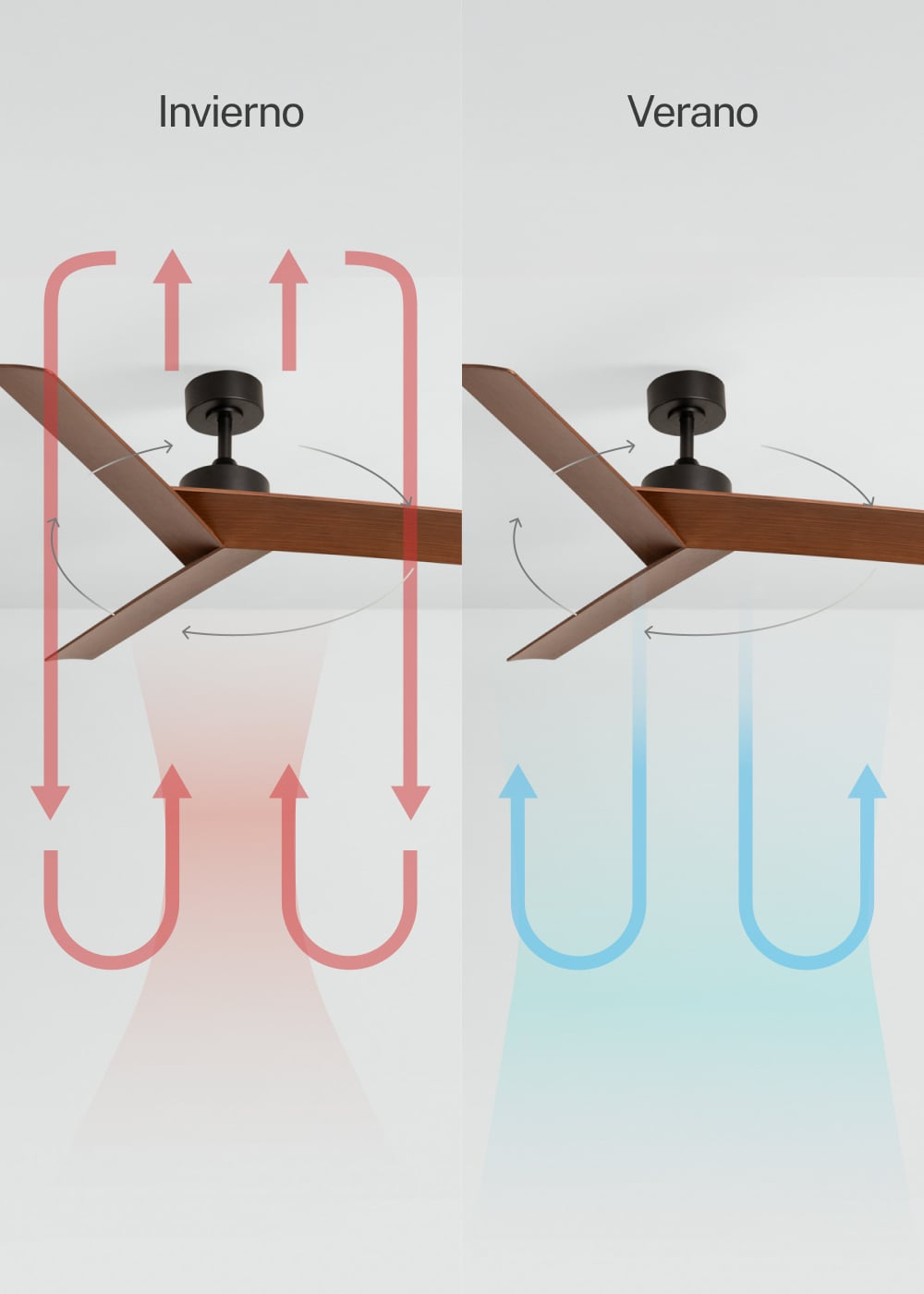 Diagrama de ventilador de techo mostrando modos de invierno y verano.