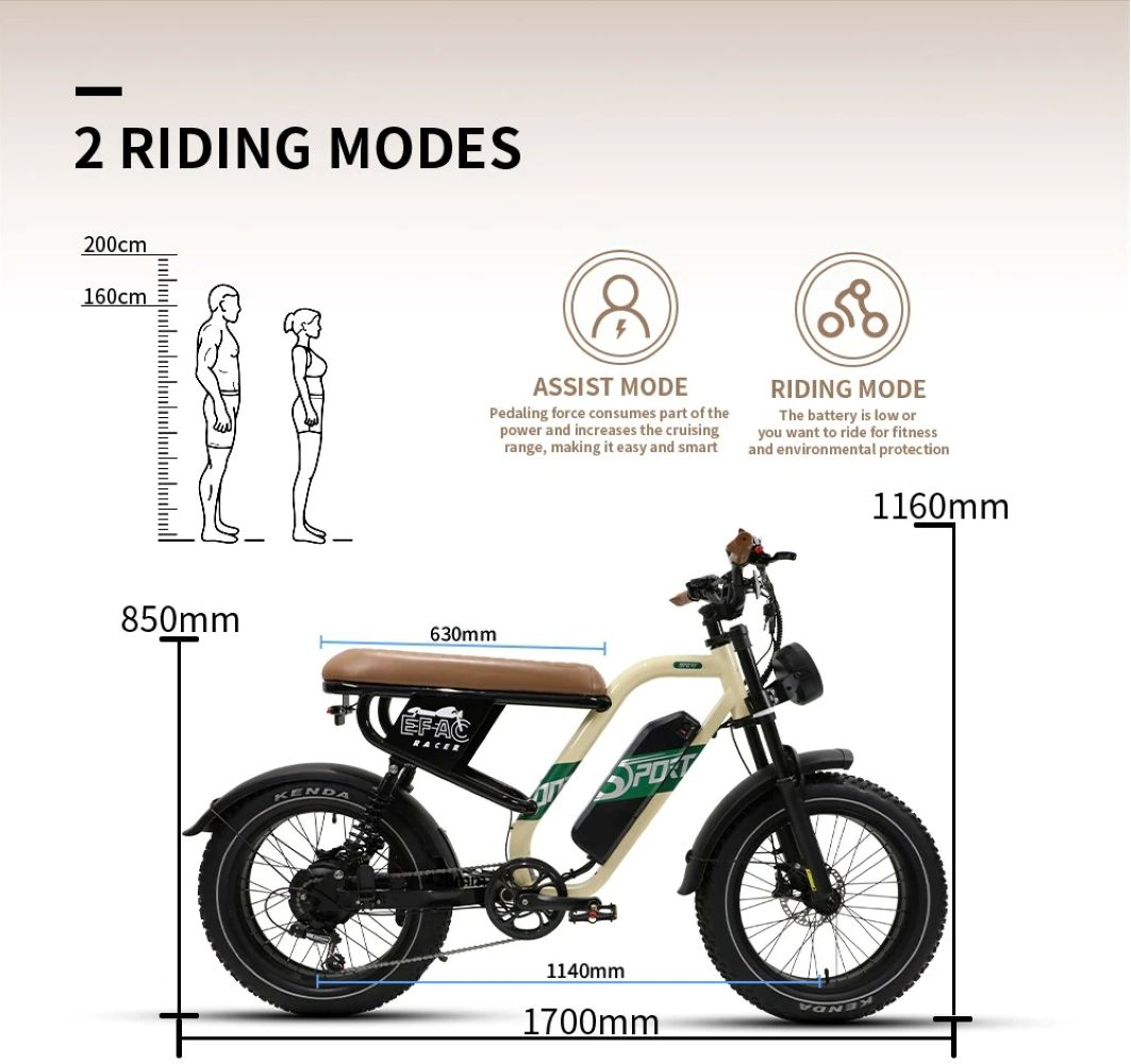 Bicicletta elettrica con dimensioni, 2 modalità di guida: Assistita e Guida.