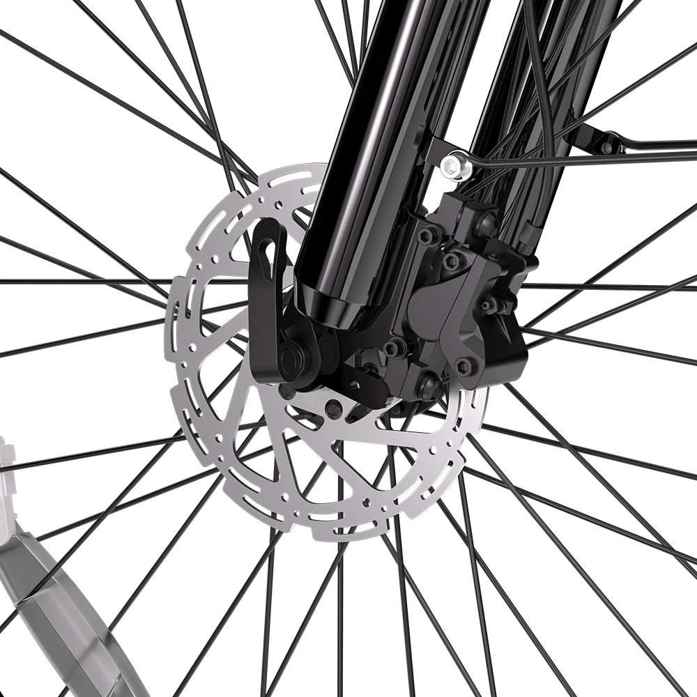 Detailaufnahme einer Fahrradscheibenbremse mit schwarzer Gabel und Speichen.
