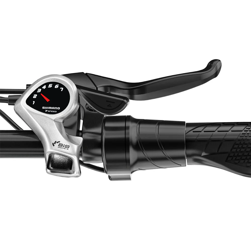 Fahrradgriff mit silbernem Schalthebel und schwarzem Bremshebel.