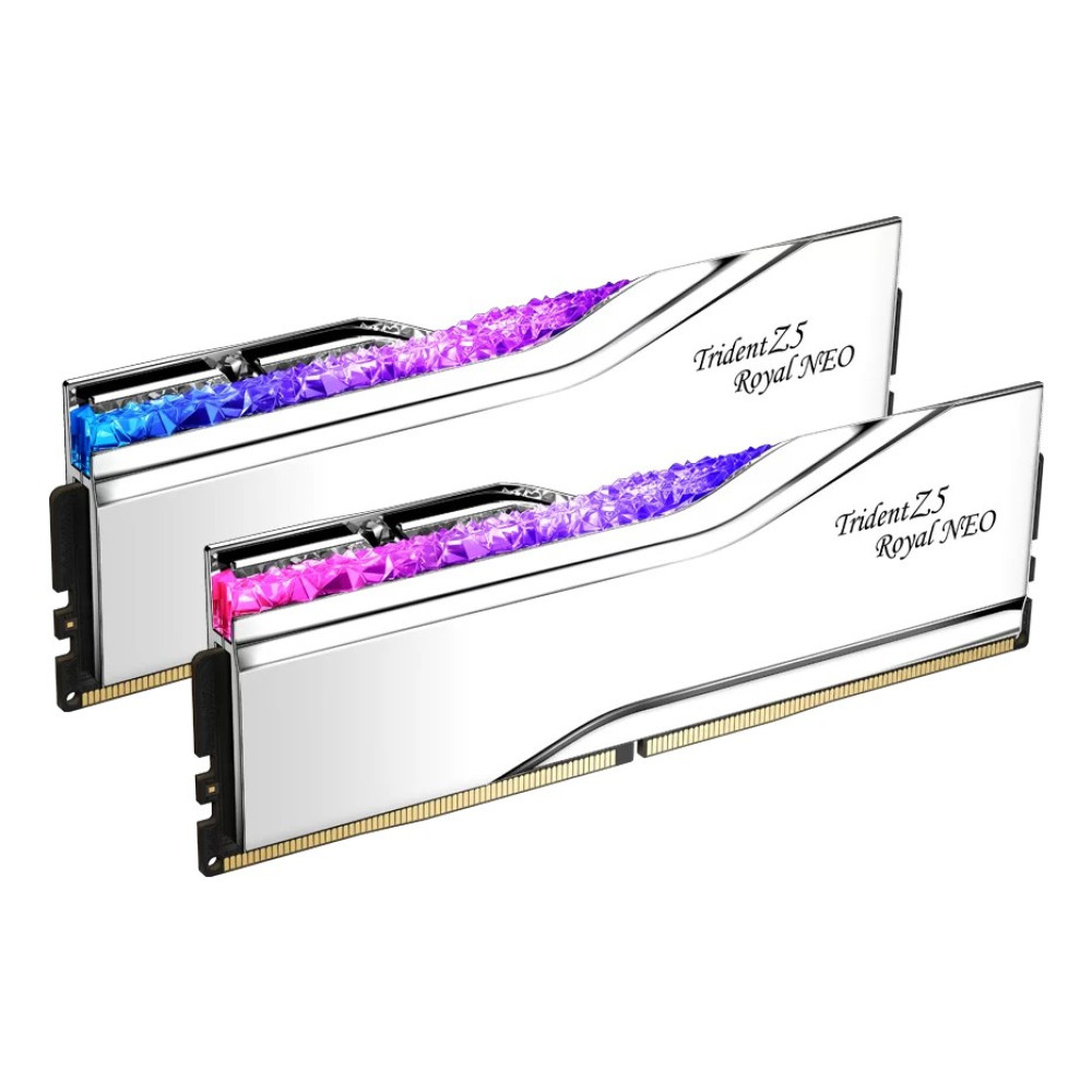 Due moduli RAM argentati con illuminazione RGB blu, rosa e viola.