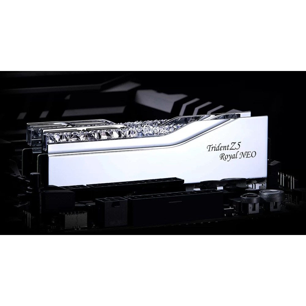 Un banco di RAM Trident Z5 Royal NEO argentato su una scheda madre.