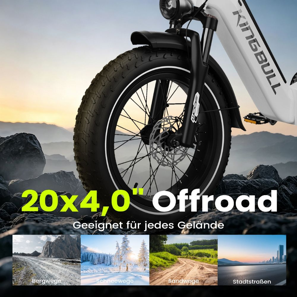 Una e-bike bianca con pneumatici larghi in un paesaggio roccioso. Sotto quattro immagini: sentiero montano, sentiero innevato, strada sabbiosa, urbana.