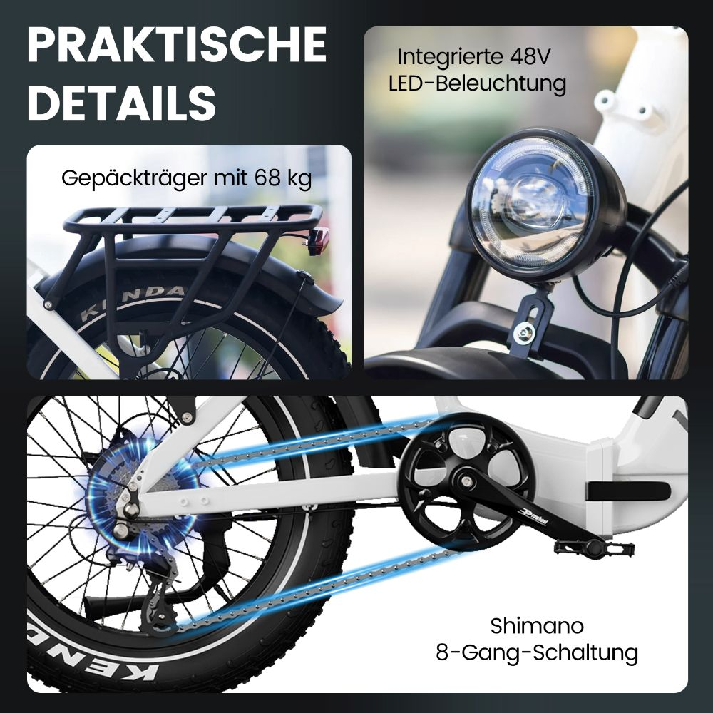 Bici elettrica con portapacchi, luce LED e cambio Shimano a 8 velocità.