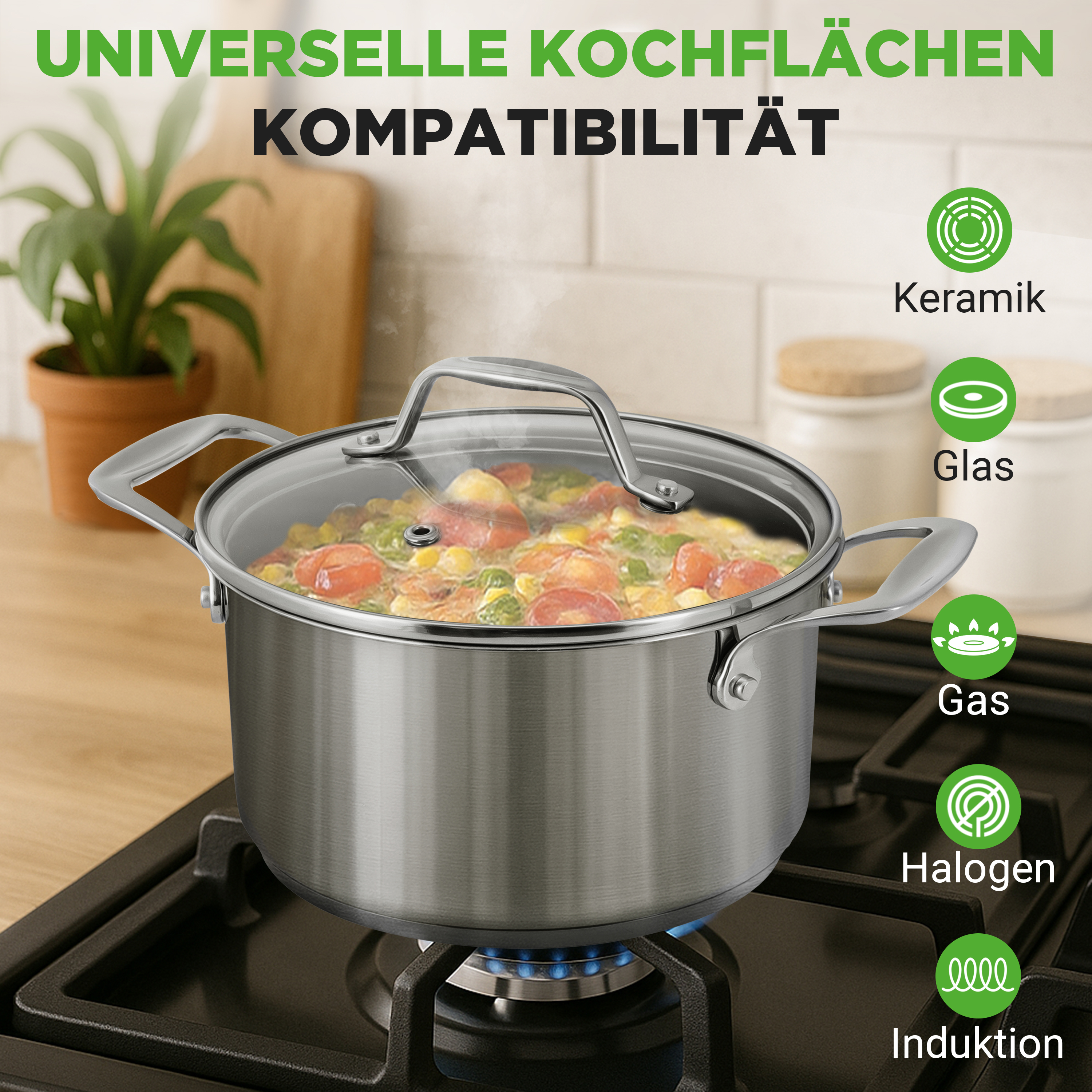 Edelstahltopf mit Gemüse auf Gasherd, mit Kompatibilitätssymbolen.