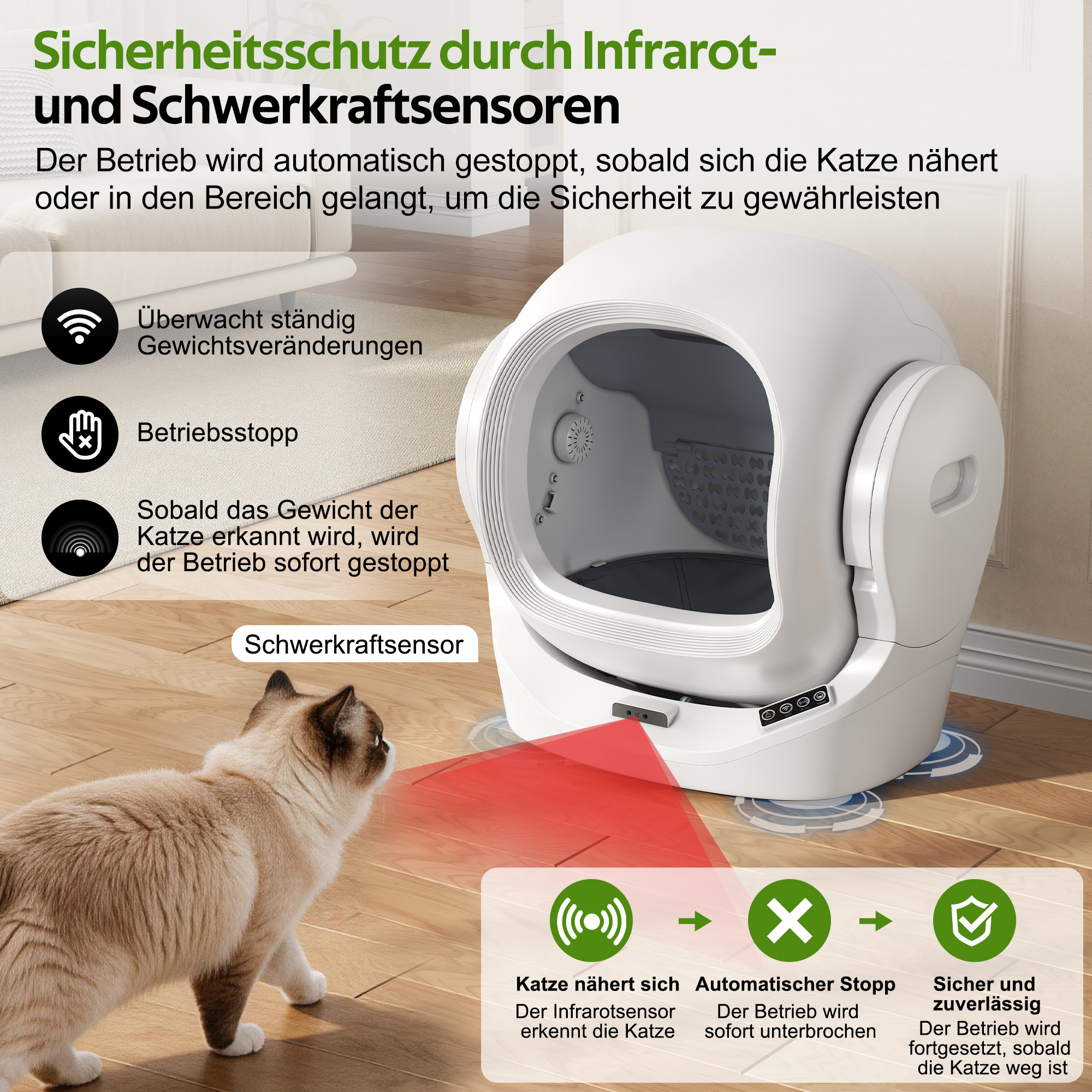 Ein Kater nähert sich einem Katzenklo mit Infrarotsensoren, die den Betrieb stoppen.