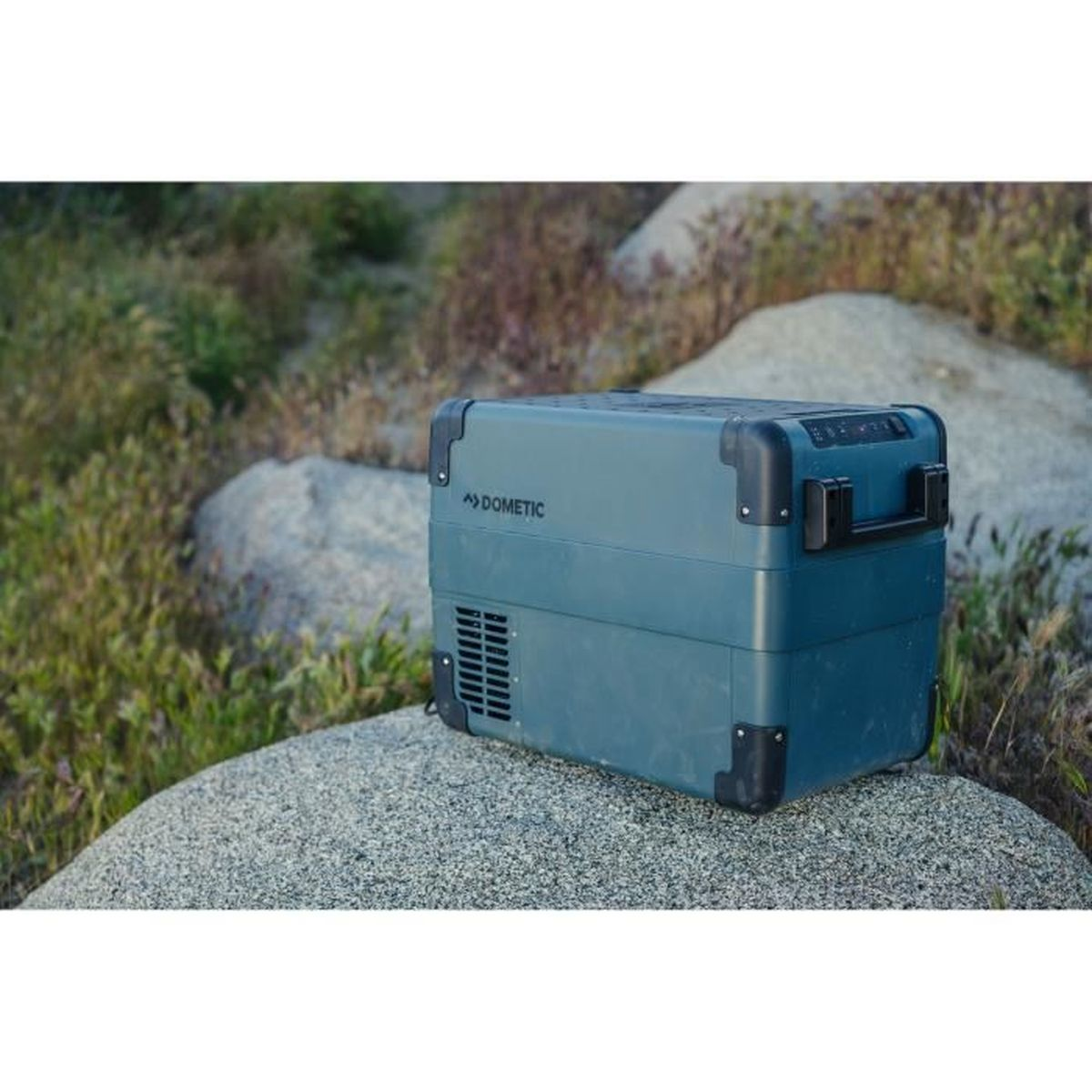 A blue Dometic cooler sits on a rock surrounded by vegetation.