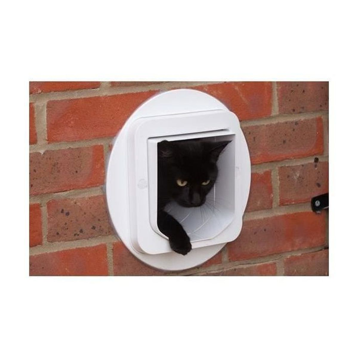 Un gatto nero con occhi gialli sbircia da uno sportello per gatti bianco in un muro di mattoni.