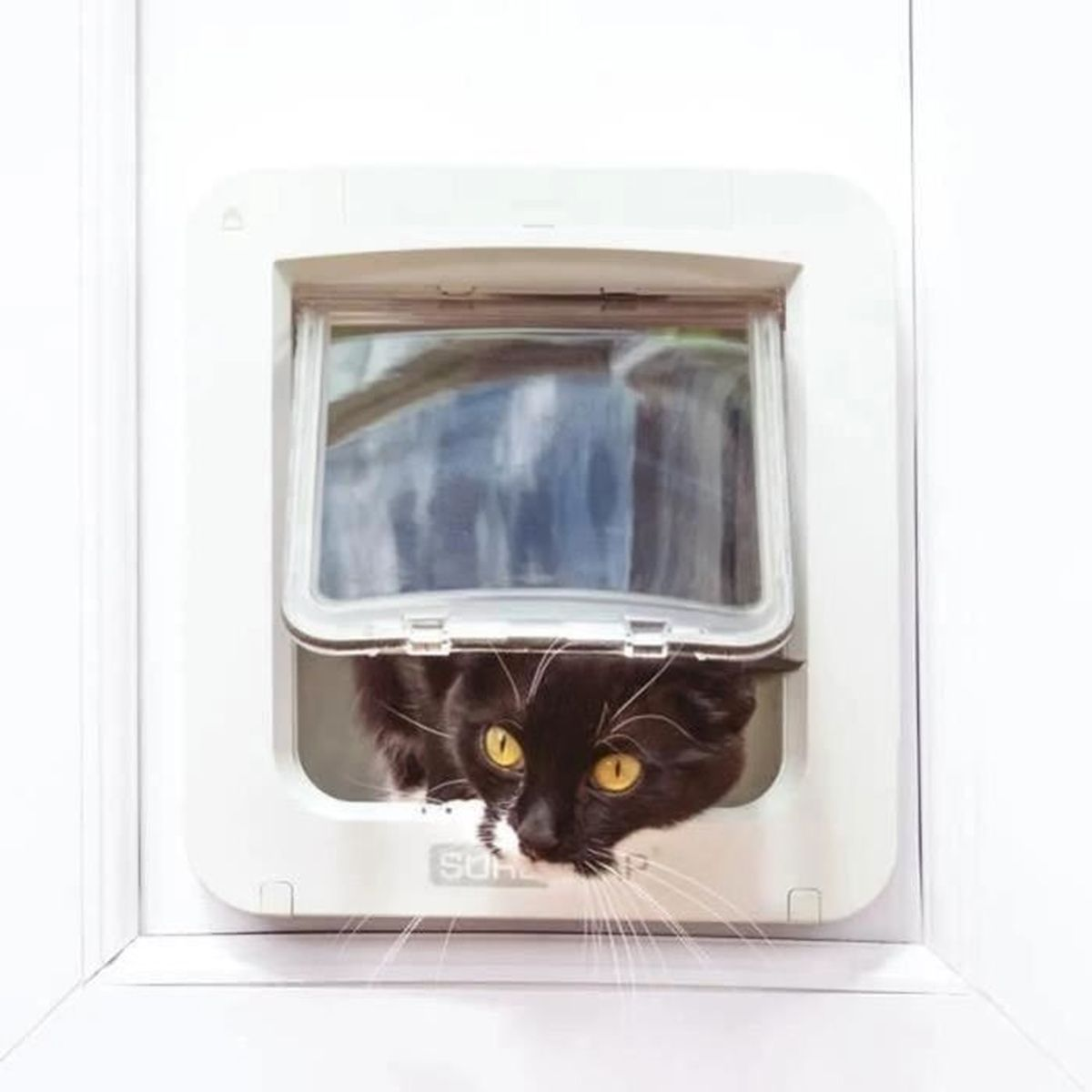 Un gatto nero con occhi gialli sbircia da uno sportello per gatti bianco.