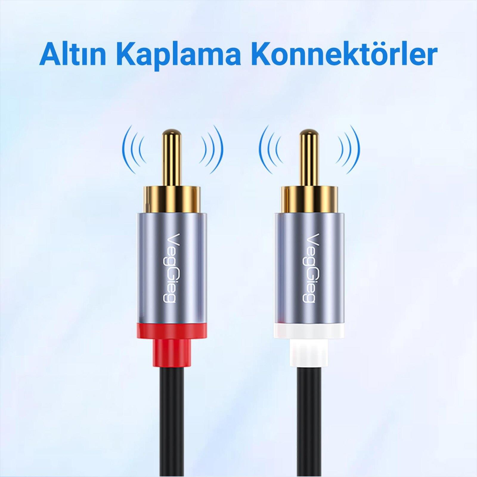 Bağlantıyı gösteren sinyal dalgalı iki altın kaplama RCA konektör.