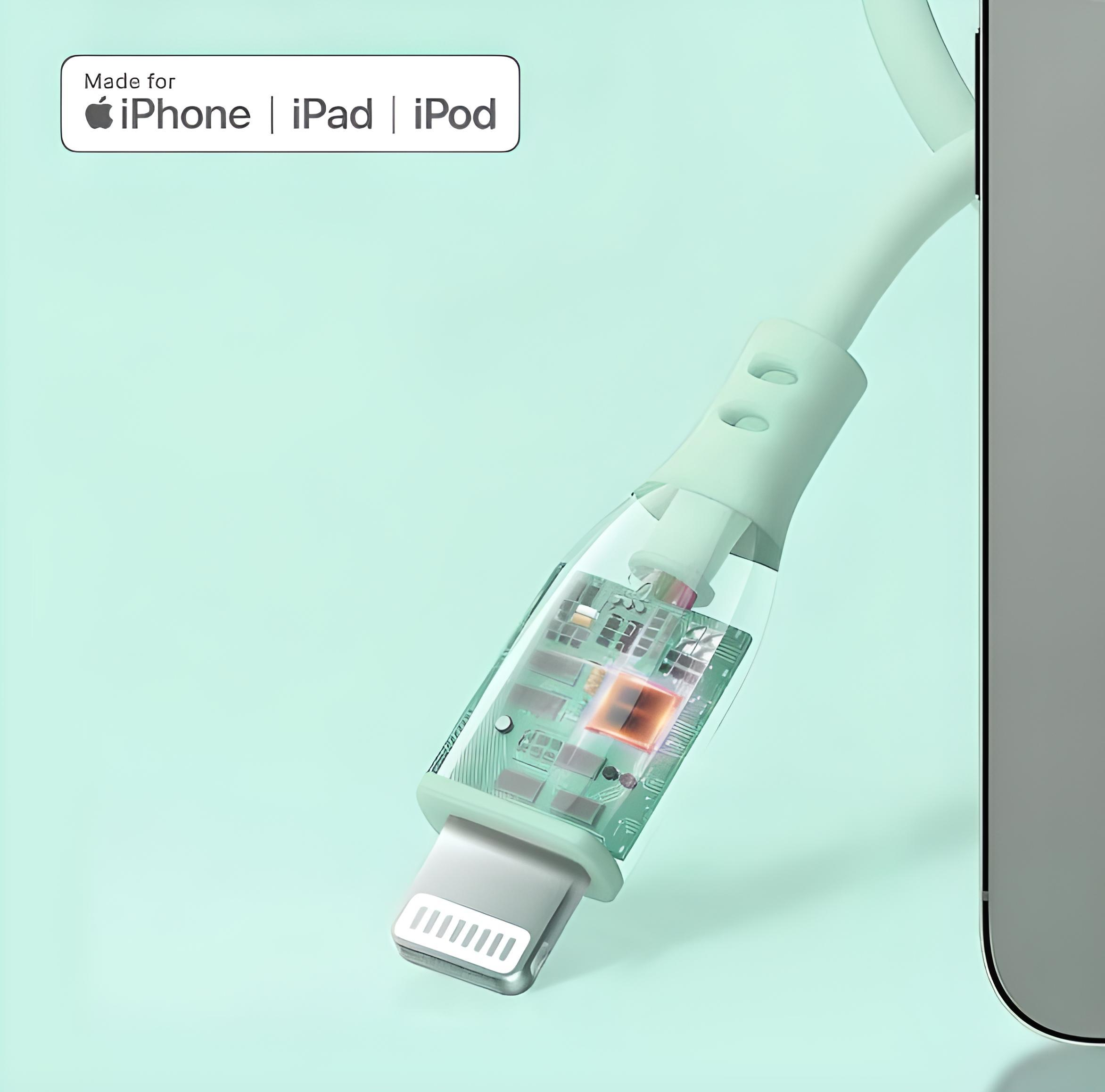 Gümüş Lightning konektörlü ve devre kartlı şeffaf kablo.