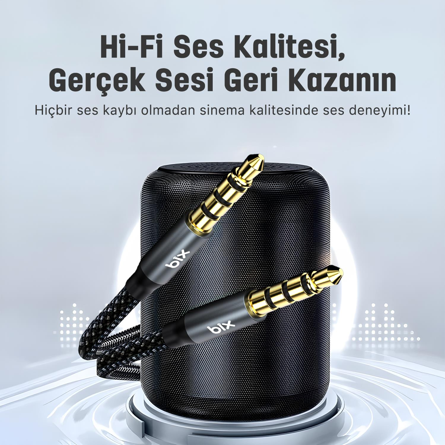 İki altın 3,5 mm ses kablosuna sahip siyah hoparlör.