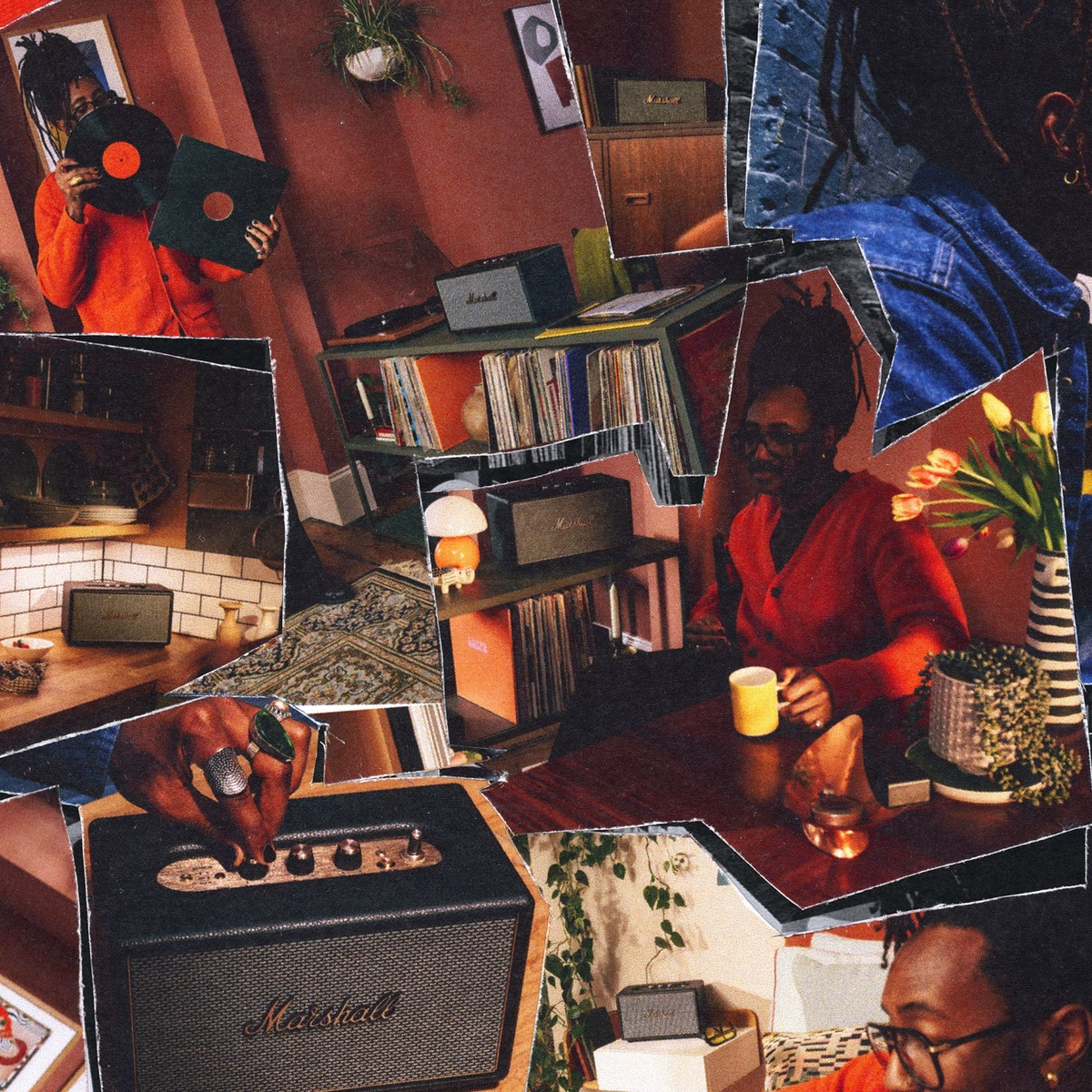 Collage aus Szenen mit Schallplatten, Lautsprechern, Pflanzen und Menschen.
