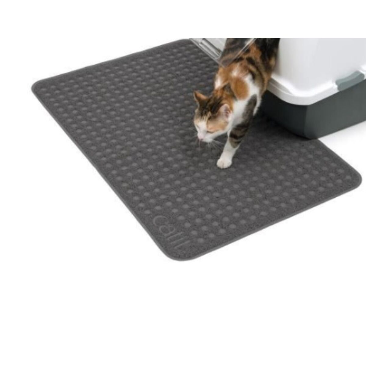 Eine Katze mit braunem, weißem und schwarzem Fell verlässt eine Katzentoilette auf einer grauen Matte.