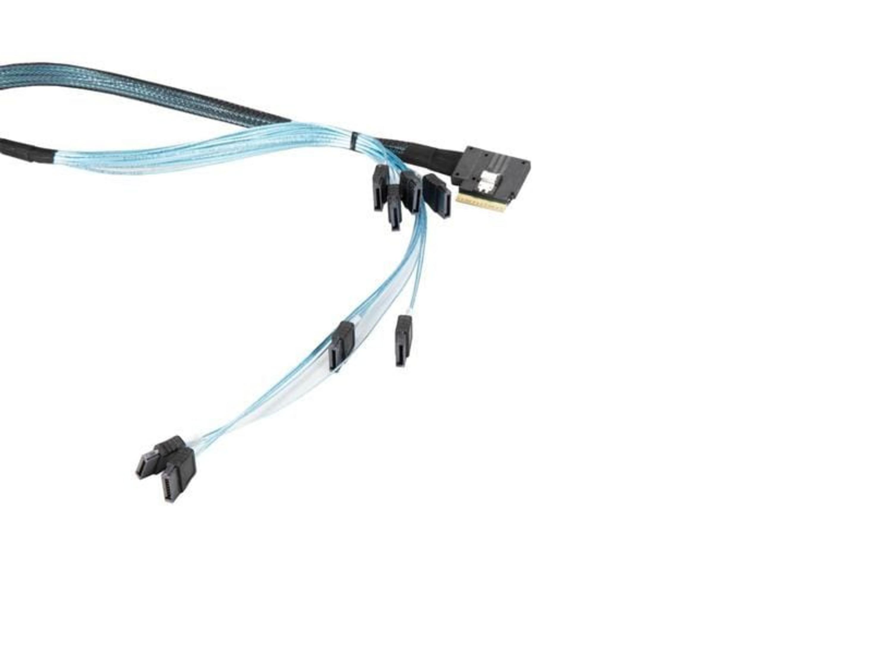 Un cavo nero e blu con più connettori SATA, isolato su sfondo bianco.