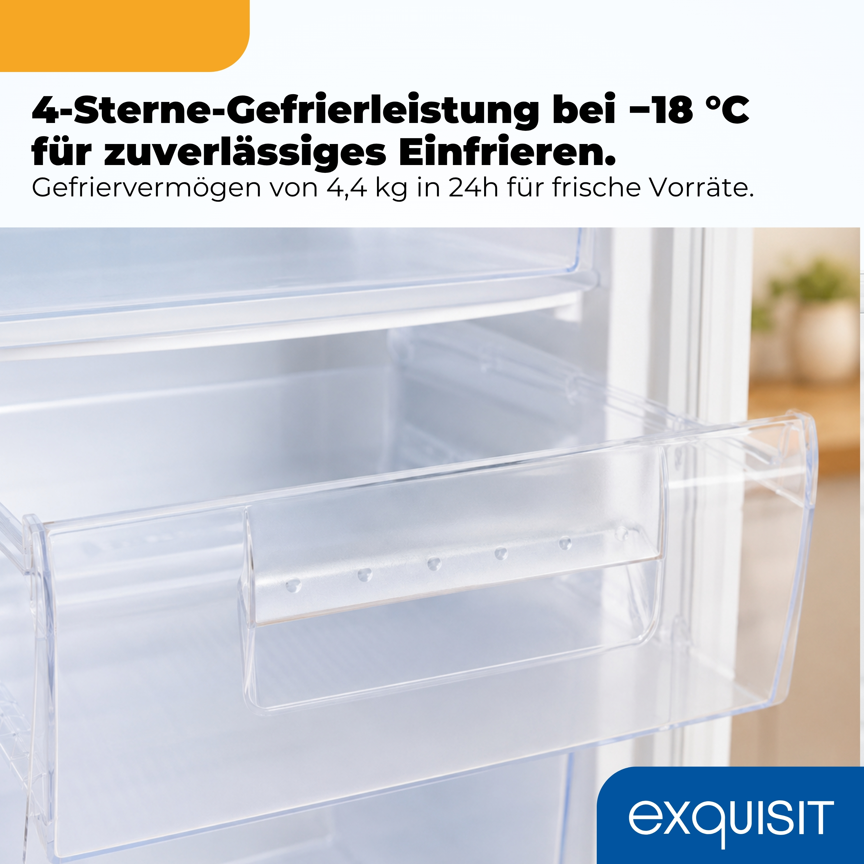 Detailansicht eines Gefrierschranks mit Schubladen und Text über Gefrierleistung.