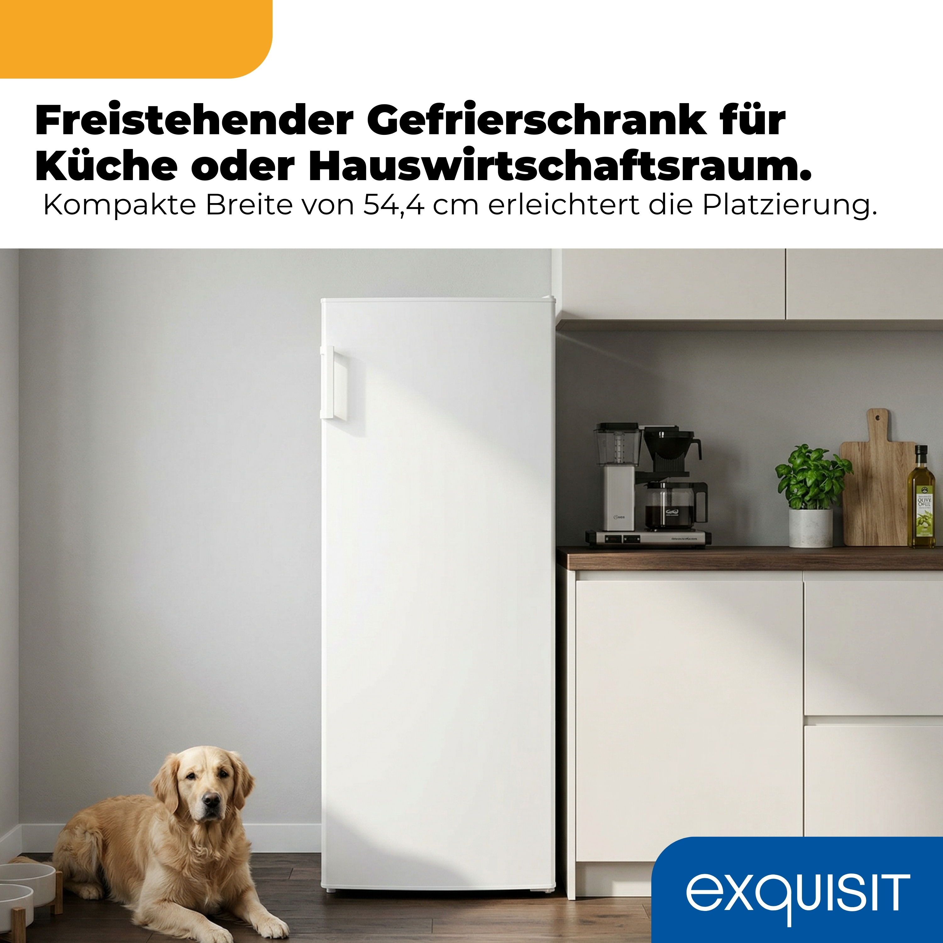 Ein freistehender weißer Gefrierschrank steht in einer Küche neben einem Hund.