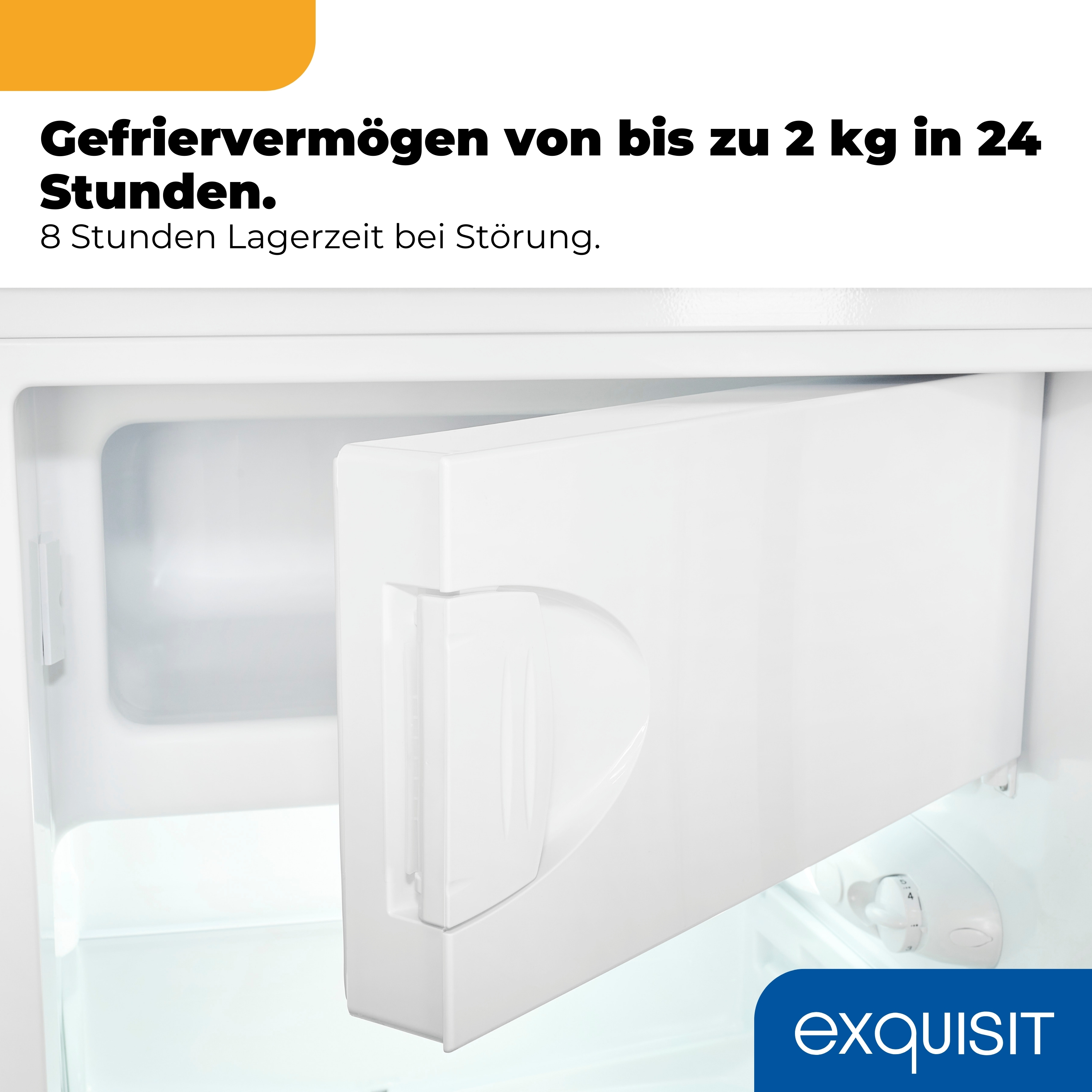 Innenansicht eines weißen Gefrierschranks mit einem Fach und einem Temperaturregler.