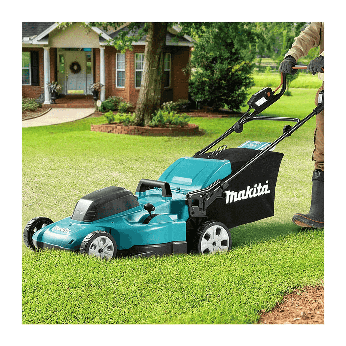 Persona cortando césped verde con cortacésped Makita azul verdoso frente a casa.