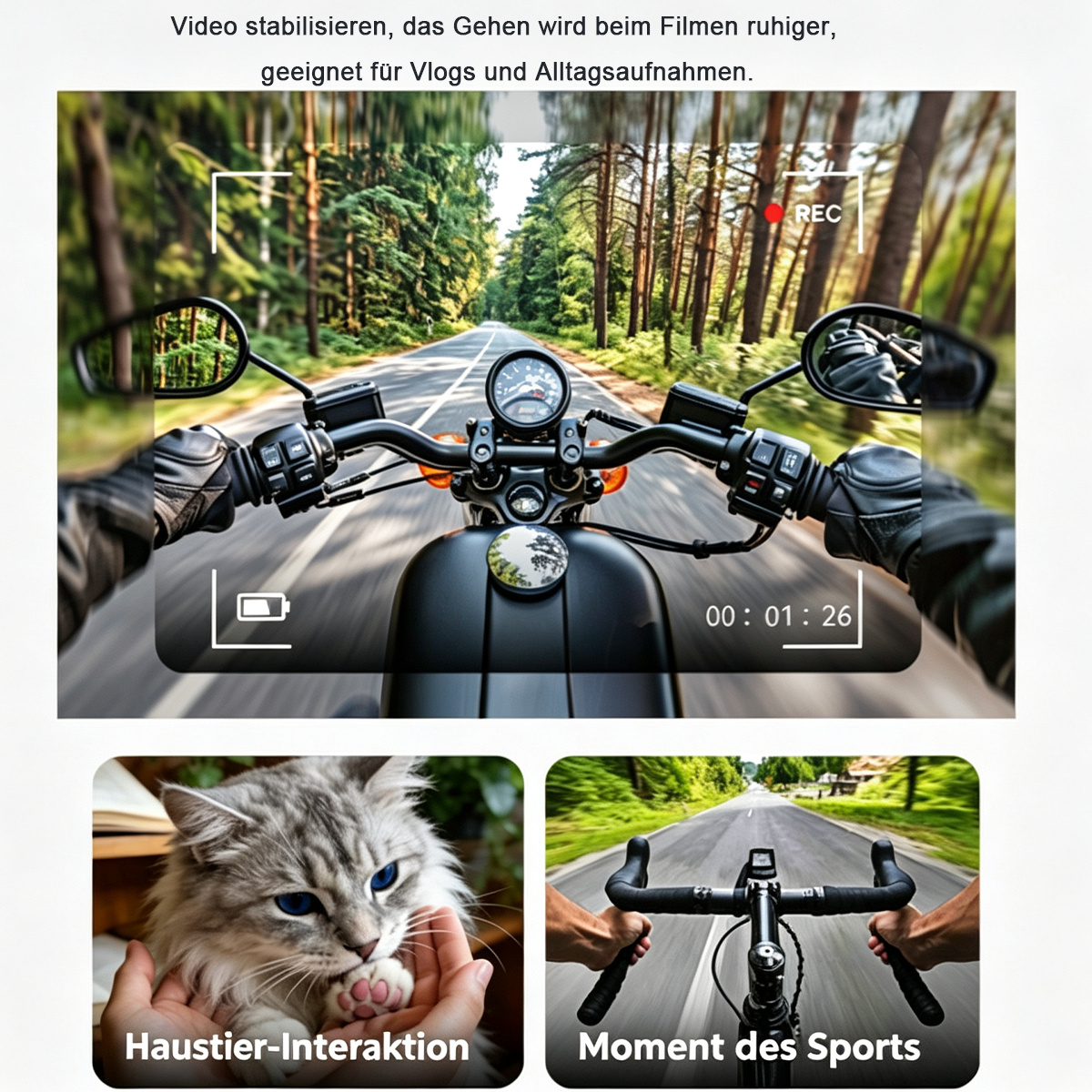 Fahrt mit einem Motorrad auf einer Straße, mit einer Katze und einem Fahrrad daneben.