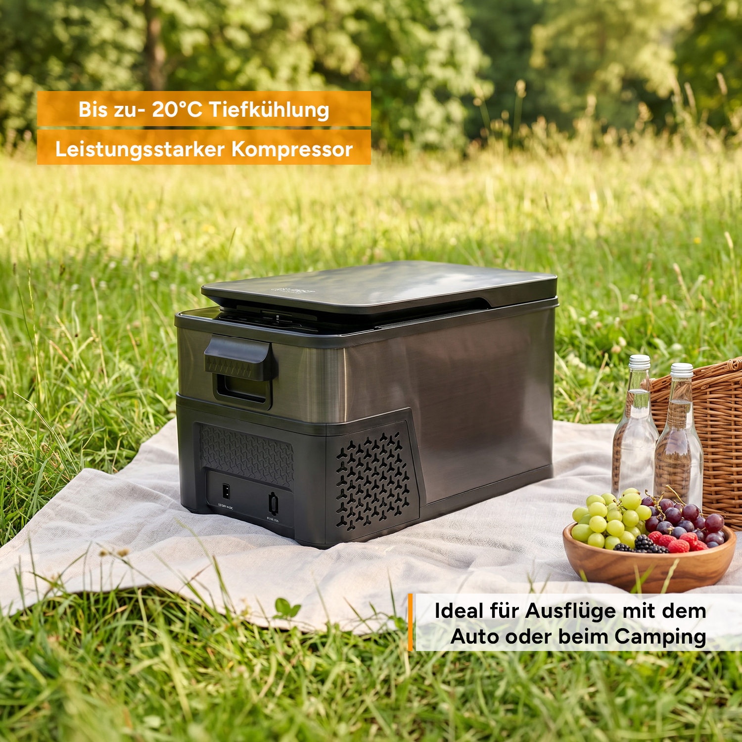 Ein Kühlbox steht im Gras mit Früchten und Flaschen daneben.