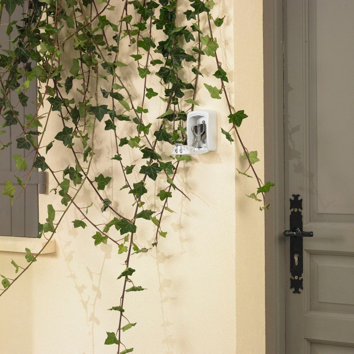Una cassetta portachiavi bianca è appesa a un muro, circondata da edera. Una porta a destra.