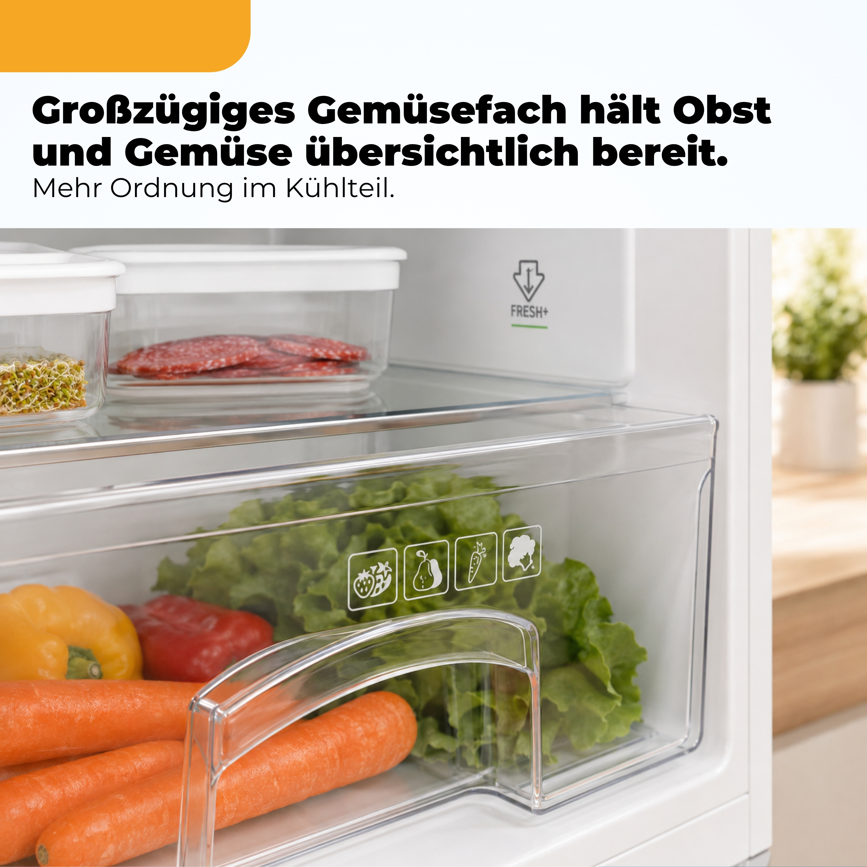 Ein Kühlschrankfach mit Karotten, Paprika, Salat und Symbolen für Obst und Gemüse.