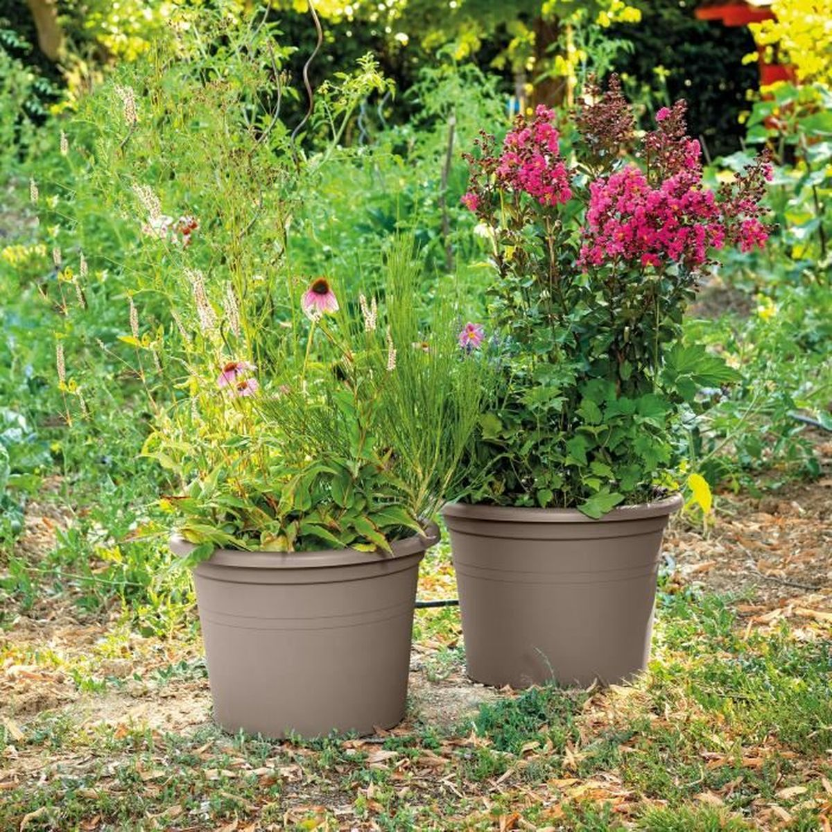Zwei braune Töpfe mit Pflanzen und Blumen im Garten.