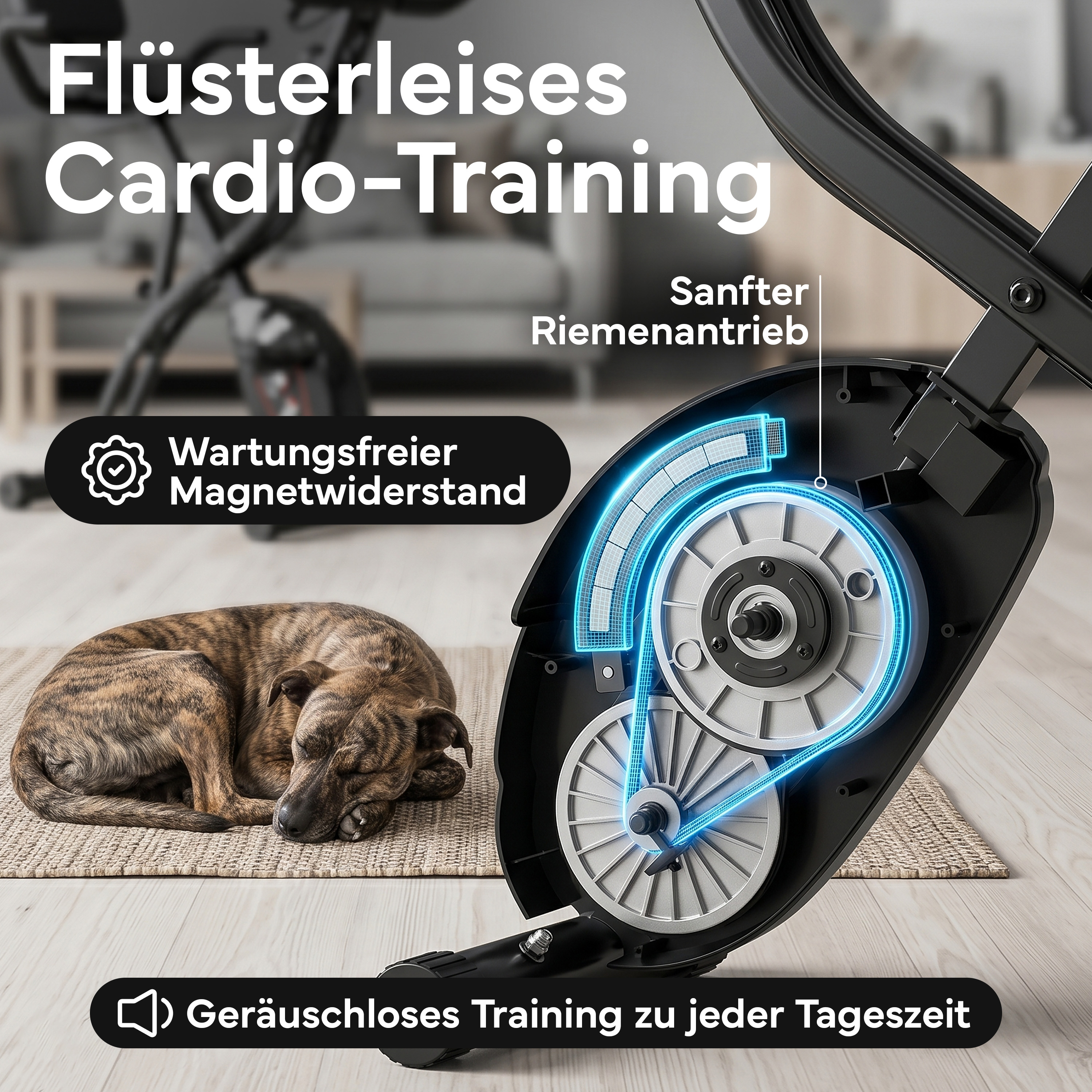 Ein Hund schläft auf einer Matte neben einem Fahrradtrainer mit sichtbarem Riemenantrieb.