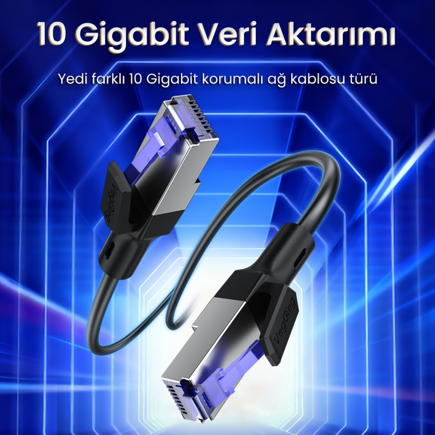 İki adet 10 Gigabit ağ kablosu, gümüş konektörler ve mavi ekler, mavi arka plan üzerinde.