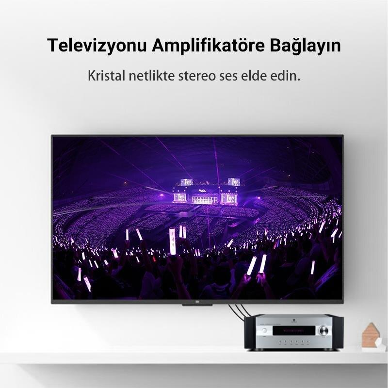 TV'de mor ışıklı konser, önünde amfi yer alıyor.