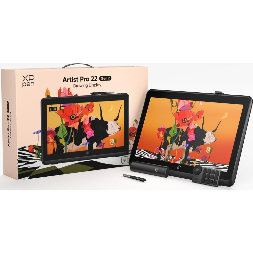 Ein XP-Pen Artist Pro 22 Gen 2 Zeichen-Display mit Box und Zubehör.