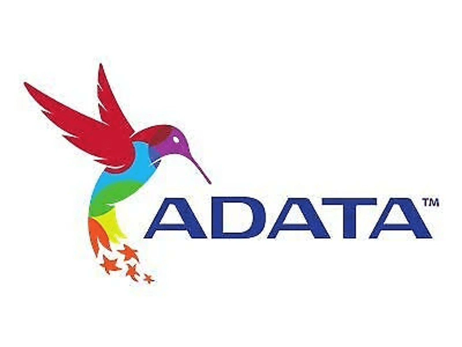 Un colibrí de colores vuela junto al logo de ADATA.