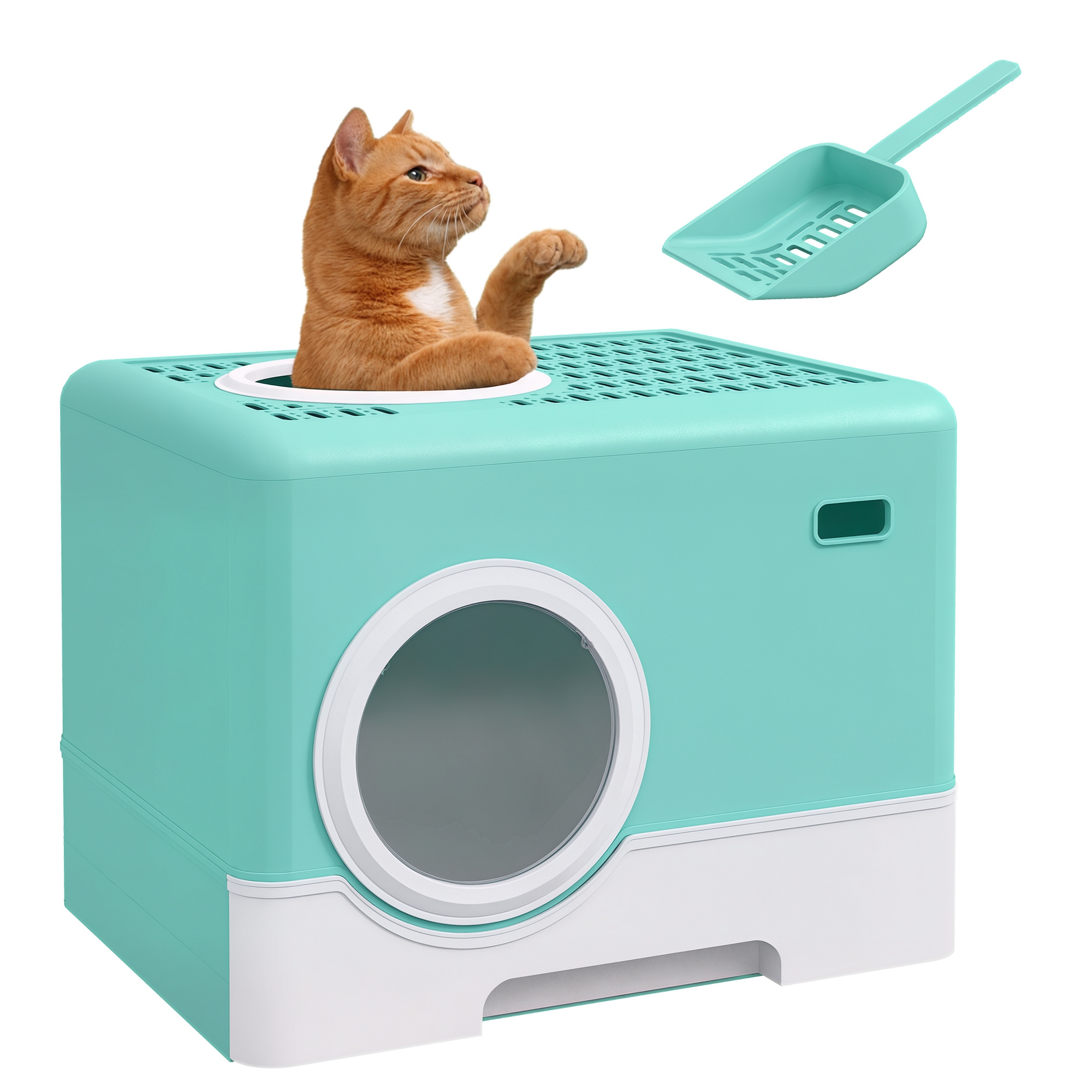 Un gatto fa capolino da una
cassetta igienica turchese con paletta.