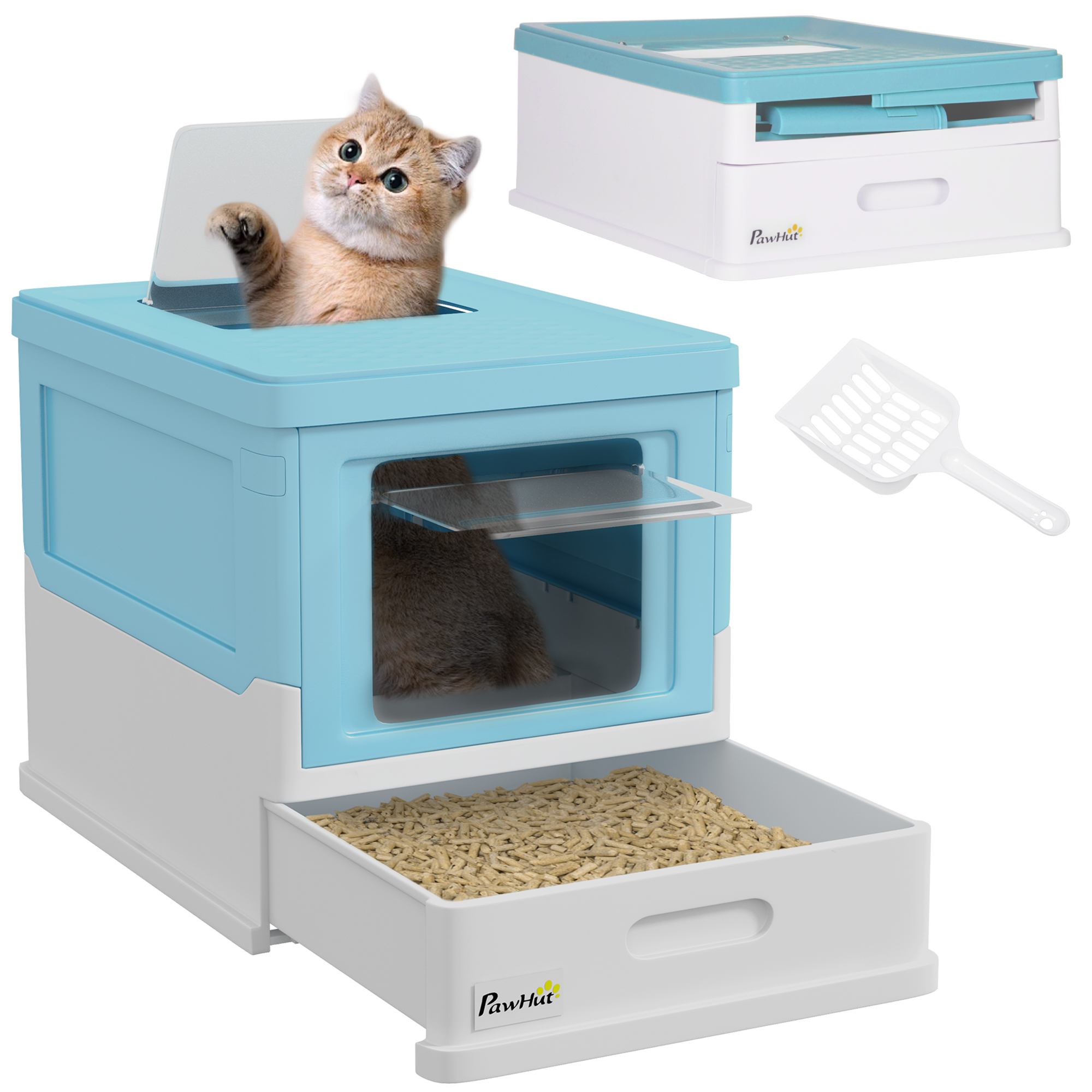 Un gattino fa capolino da una lettiera blu con cassetto estraibile.