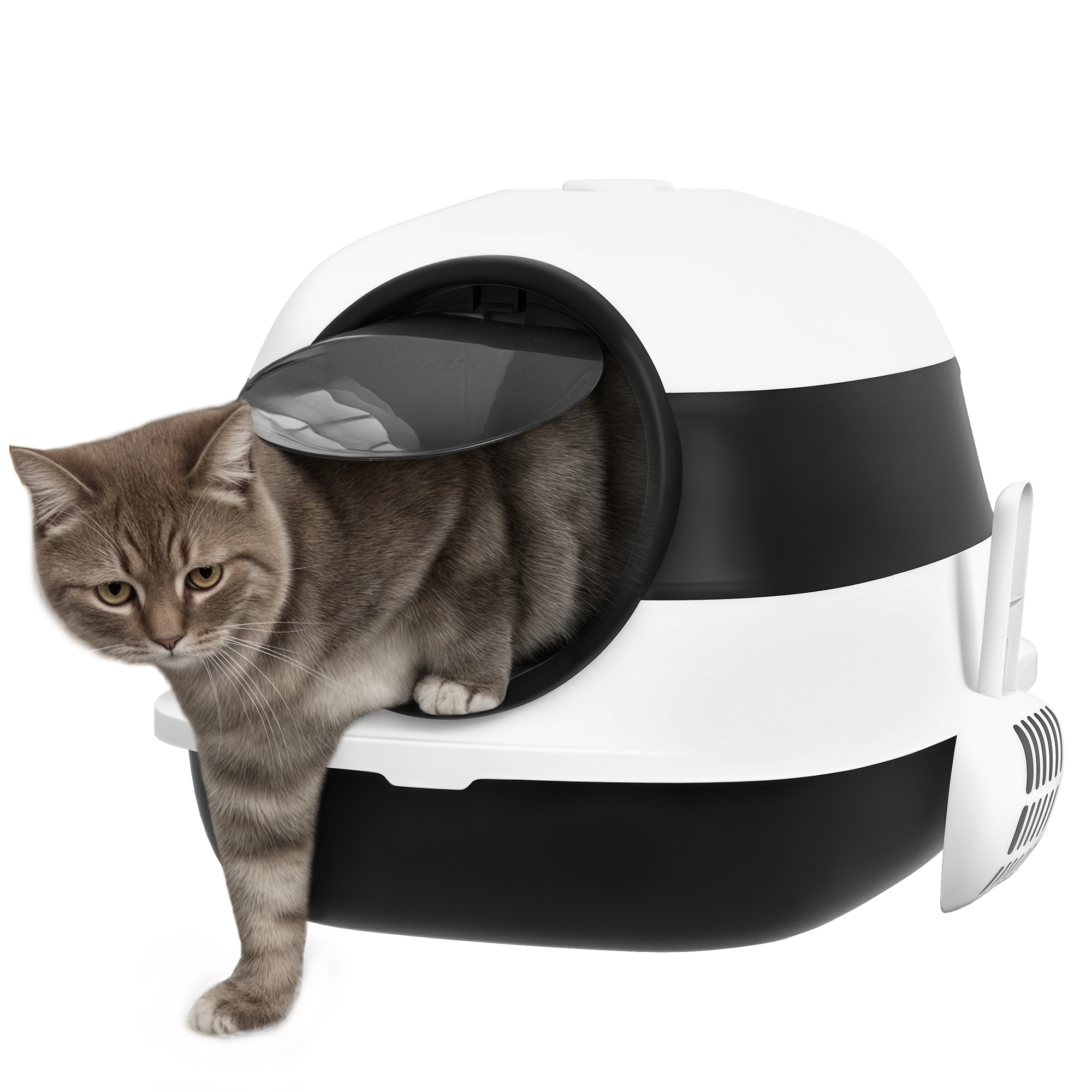 Un gatto soriano è seduto in una lettiera autopulente bianca e nera.