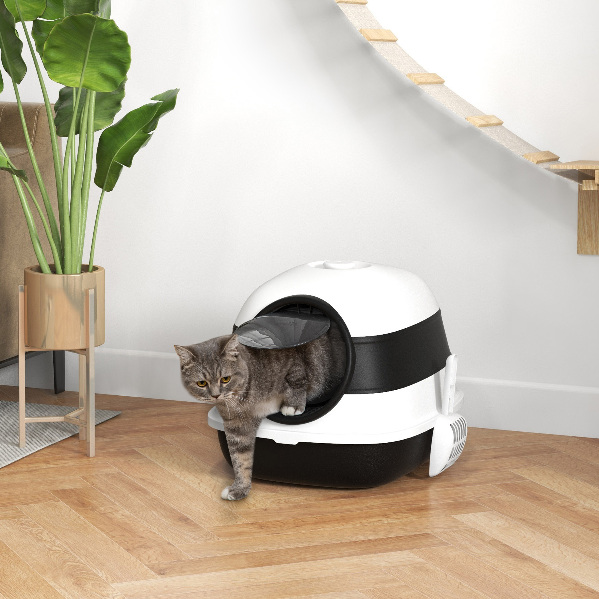 Un gatto soriano esce da una lettiera bianca e nera.