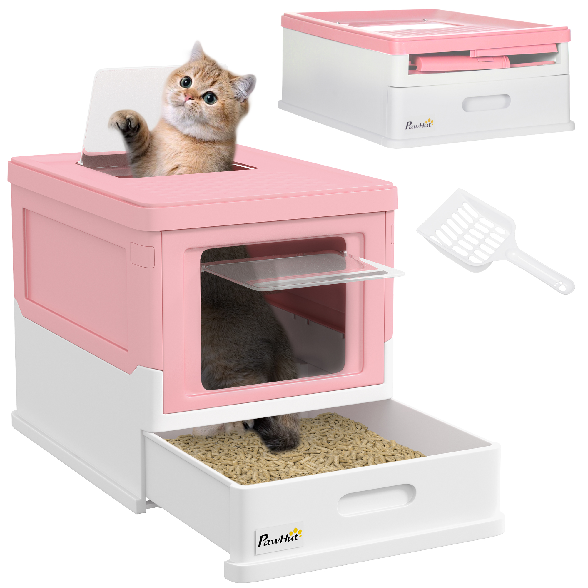 Gatto che sbircia dalla lettiera rosa, paletta per lettiera vicina.