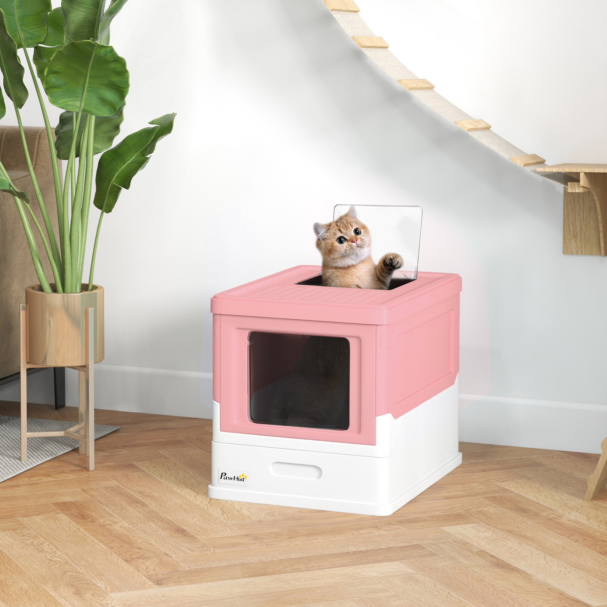Un gatto zenzero sbircia da una lettiera rosa e bianca in una stanza con pianta.