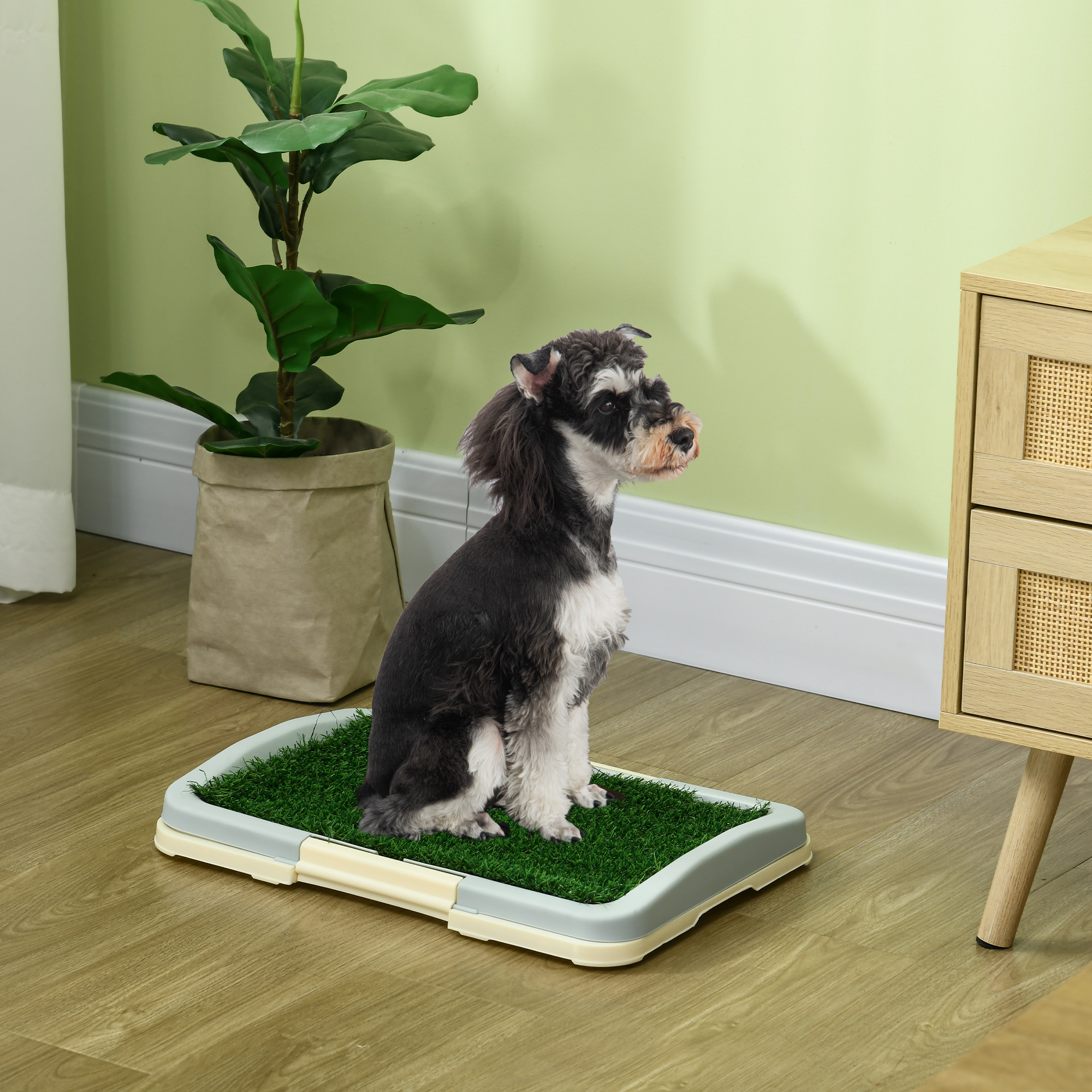 Un cane schnauzer siede su un tappetino da addestramento per animali con erba sintetica.